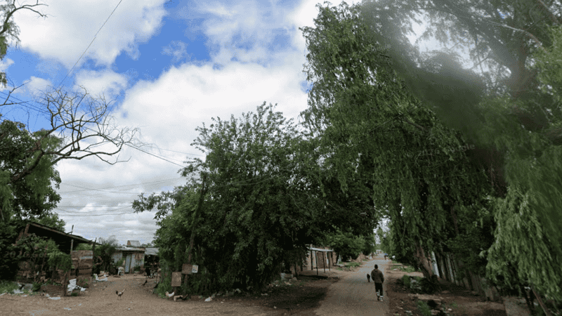El hecho se produjo en el barrio Las Flores Sur.