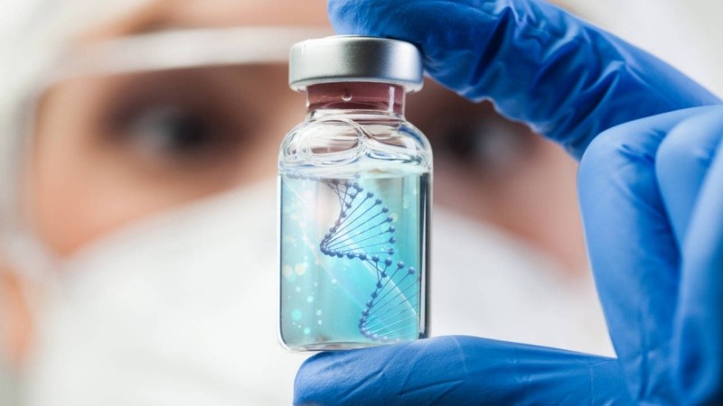 La revisión también destacó el potencial para combatir otras infecciones, algunos tumores y enfermedades autoinmunes.