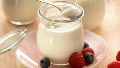 La importancia de la fermentación en las características del yogur.