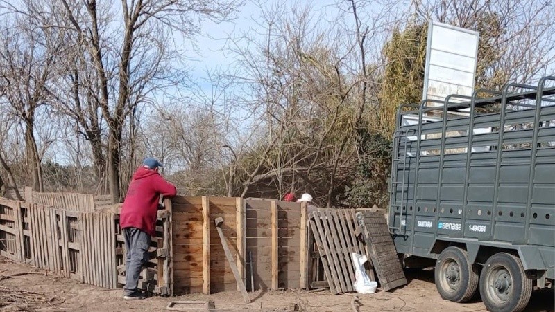 &nbsp;El gobierno de la Provincia de Santa Fe, a través del Ministerio de Desarrollo Productivo, dispuso el despoblamiento preventivo de un criadero en la localidad de Ibarlucea.