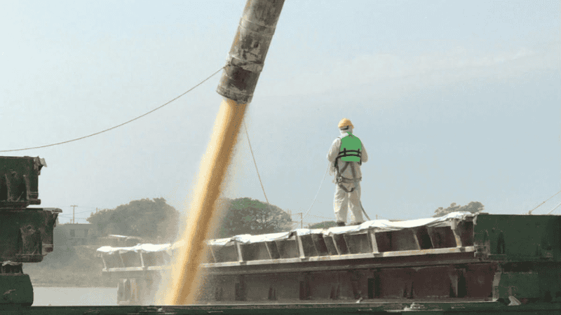 El área portuaria de Rosario representó cerca del 80% de los movimientos en las terminales públicas de la provincia.