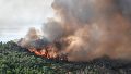 Una nueva investigación encontró que la exposición a grandes incendios forestales durante la gestación puede afectar la salud del bebé.