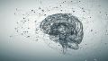 Así como el cerebro necesita estímulo, también necesita "apagarse". Ahí son clave el descanso y el ocio; e incluso el puro aburrimiento.