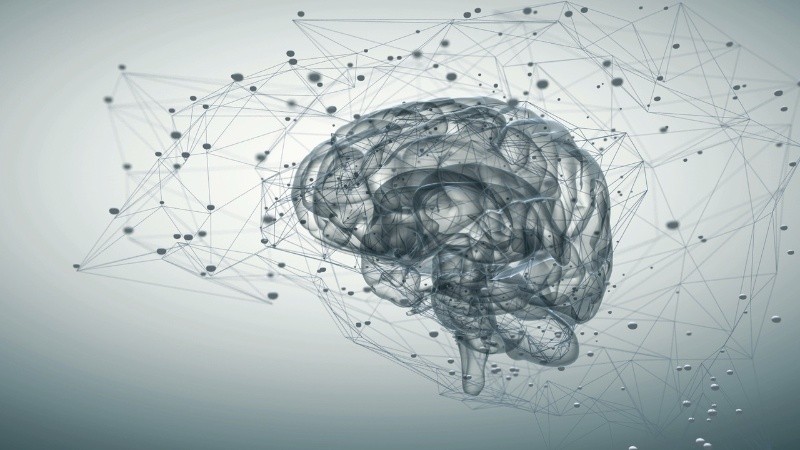 Así como el cerebro necesita estímulo, también necesita 