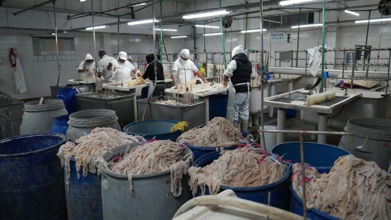 Los trabajadores tomaron la empresa, cuidaron las instalaciones y ahora reactivan la producción.