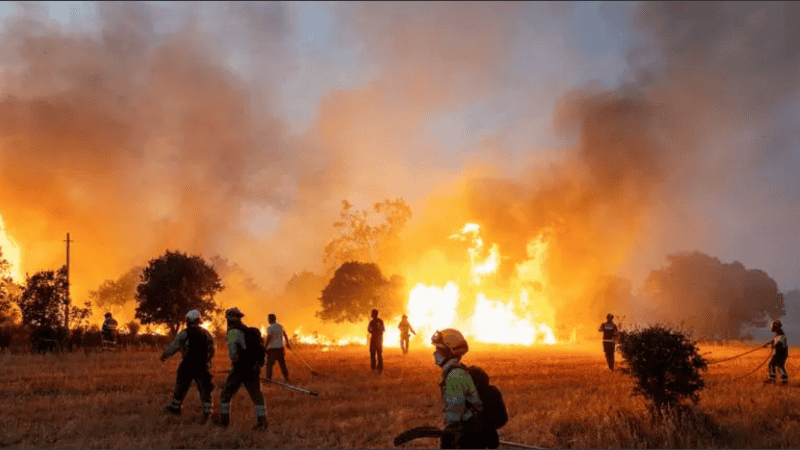 Entre alivios y emergencias, Europa combate una histórica ola de incendios forestales.
