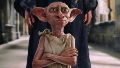 Fanáticos de Harry Potter lograron modificar el plan de instalación de un cable eléctrico que iba a profanar la "tumba" de Dobby.