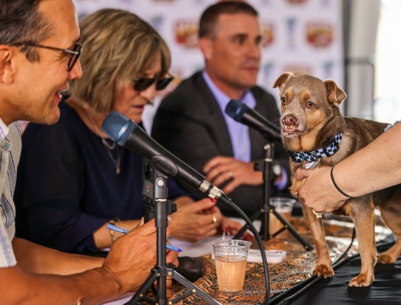 El tercer puesto fue para Otto. Foto: Will Bucquoy.