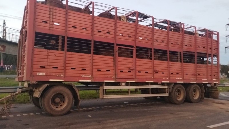 &nbsp;El camión que causó caos en Circunvalación. 