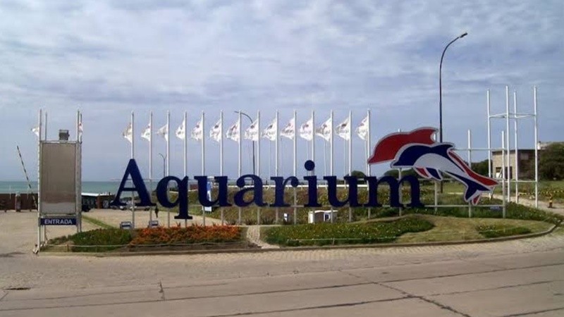 Polémica por la tasación de pingüinos que permanecen cautivos en el ex Aquarium de Mar del Plata.
