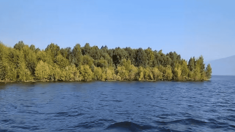 Una enorme isla cubierta de árboles emergió misteriosamente y a los días desapareció.