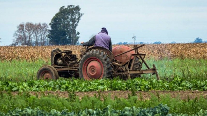 El establecimiento P.A.CA está ubicado en la zona rural de Casilda