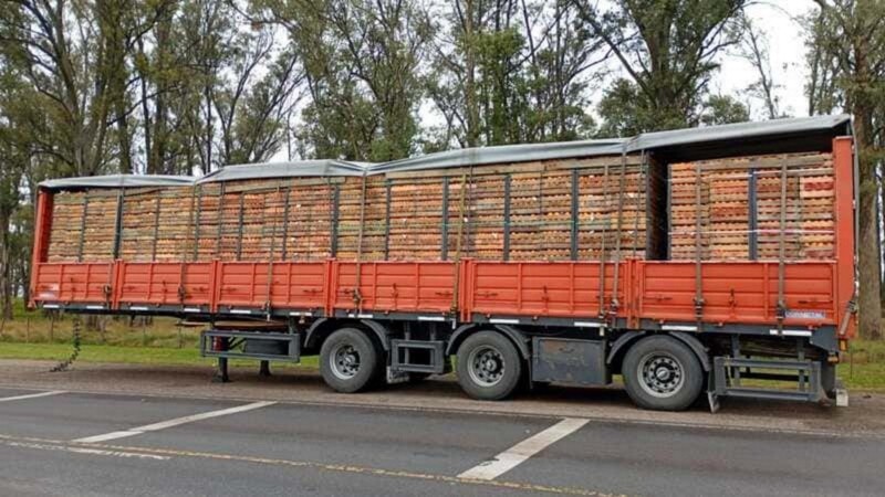 La carga de naranjas descartada.
