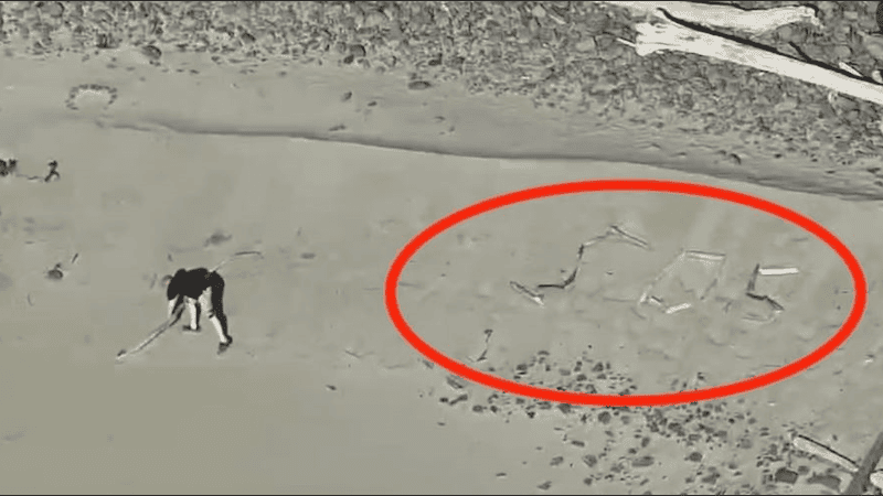 El rescate ocurrió en Lost Boy, una cala salvaje del condado de Tillamook, en el estado de Oregón, Estados Unidos.