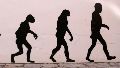 La transformación evolutiva podría haber tenido un costo inesperado.