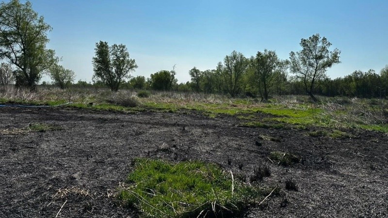 Parte de la zona afectada. (Protección Civil)