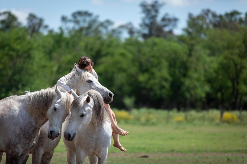 Llega a Rosario el evento de adiestramiento equino más importante de la región&nbsp;