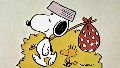 El secreto del personaje de Peanuts para conquistar a los diseñadores.