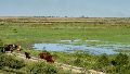 Estiman que el pico de la crecida del Paraná llegará en diciembre. (Ana Isla/Rosario3)