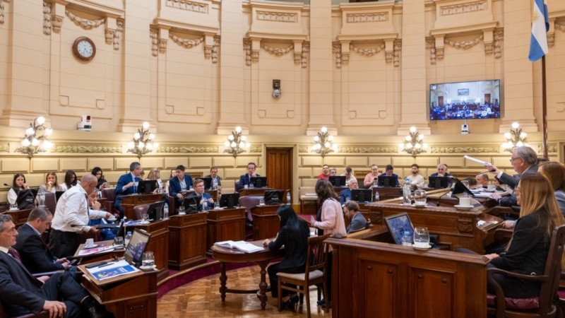 La iniciativa obtuvo media sanción y ahora deberá ser tratada por la Cámara de Diputados.