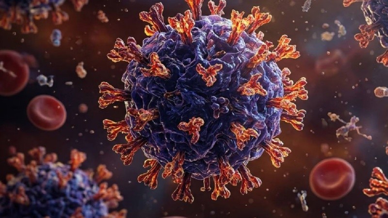 Los especialistas piden cautela, ya que aún se investiga si el virus Shamonda contribuyó a la muerte del paciente en Francia, quien padecía una enfermedad grave preexistente.