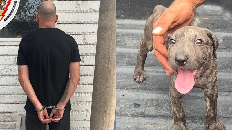 El detenido fue trasladado a la comisaría 21ª, y el cachorro quedó a cargo de la Policía Ecológica.&nbsp;
