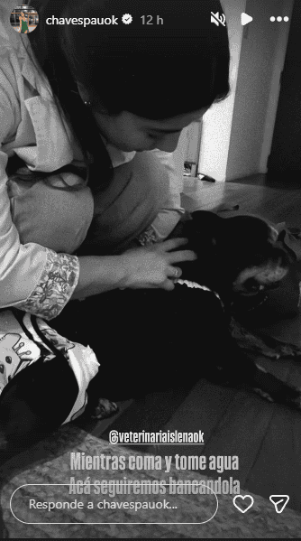 &nbsp;La atención veterinaria que está recibiendo Moro.