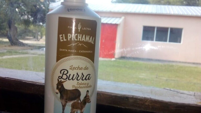 &nbsp;La producción de leche de burra de El Pichanal, en los valles calchaquíes. 