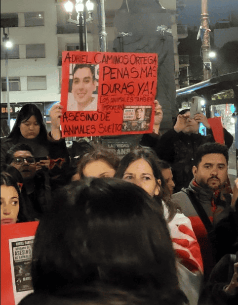&nbsp;La marcha realizada pidiendo que se endurezcan las penas.